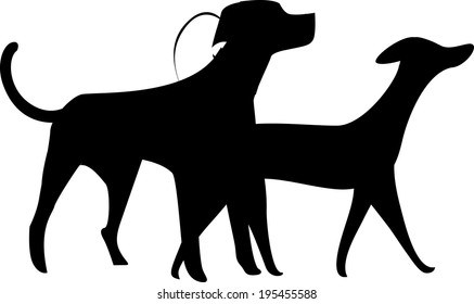 Las vistas a los animales 