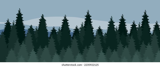 View of beautiful coniferous forest