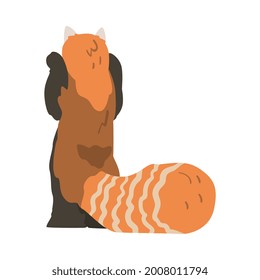 View From Behind Of Cute Red Panda, Adorable Wild Animal Cartoon Vector Illustration