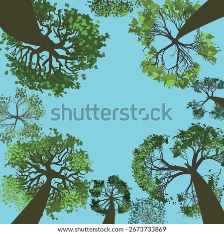 A view from below of the blue sky surrounded by trees stretching upward. Vector illustration. Look up. Place for text
