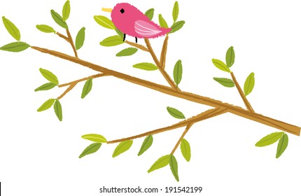 The view of bird on the bough 