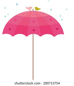 The view of birds on umbrella 