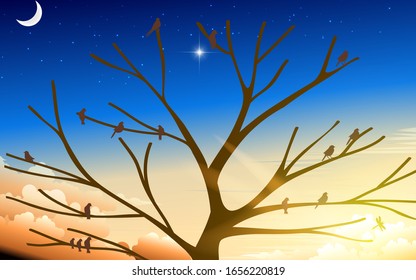 view of birds in the tree in the morning 