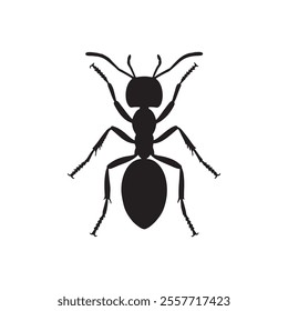 view black ant silhouette isolated on white background.