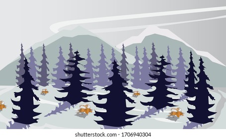 A view of a dense ice forest and covered with snow. evergreen trees look lush