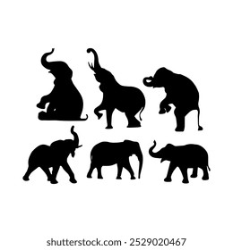 View of elephant silhouette on white background