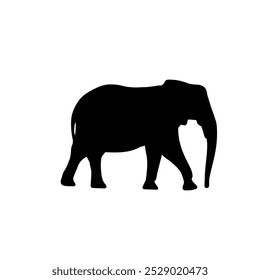 View of elephant silhouette on white background