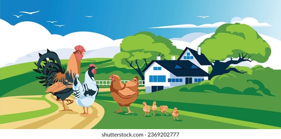 view of the farm in the middle of a green meadow. Agriculture and harvesting. Pets. Rooster, chickens, chicks. Vector flat illustration