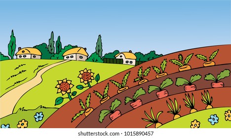 View of the field with the village. Bed with vegetables.