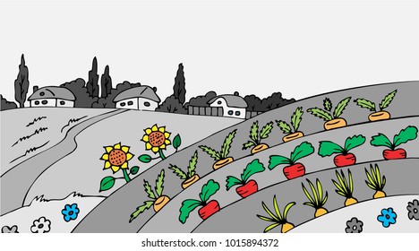 View of the field with the village. Bed with vegetables. Monochrome and bright colors