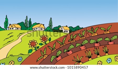 View of the field with the village. Bed with vegetables.