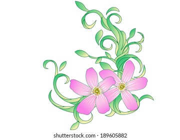 The view of flower 