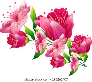 A vista das flores 