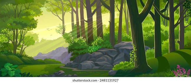 A view of the forest during sunset with lush green grass, trees and rocks.