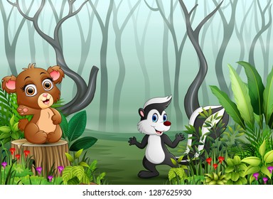 View of forest plants in the fog with a bear and raccoon