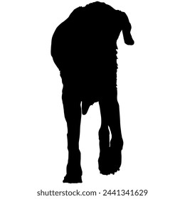 A view from the front of a dog in silhouette svg