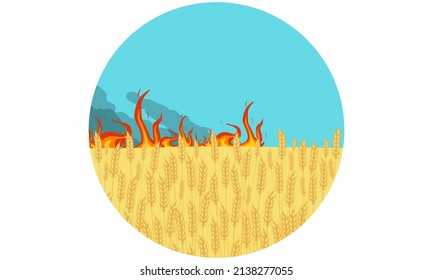 View of the golden wheat field in fire. Harvest, vector illustration.