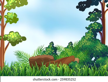 View of green forest at daytime