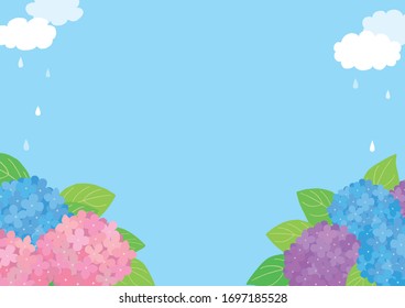 A view of hydrangea after the rain