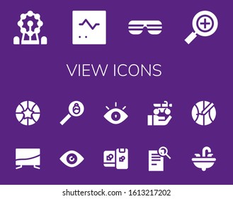 view icon set. 14 filled view icons.  Simple modern icons such as: Ferris wheel, Monitor, Sunglasses, Search, Television, Basketball, Eye, Computing, Motorbike, Sink