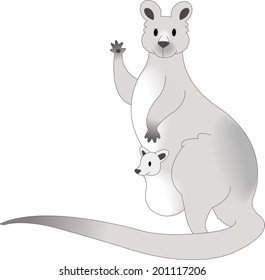 The view of kangaroo with baby 