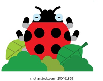The view of ladybug 