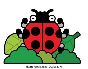 The view of ladybug 