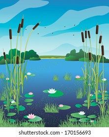 View of the lake with water lilies and cattails. Vector illustration.