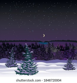 View of landscape of snowy forest at the night from hill.