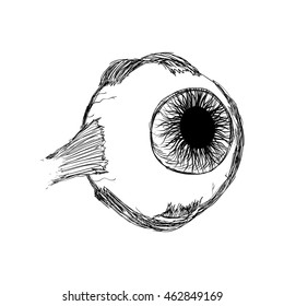 View and look concept represented by sktech eye icon. Isolated and flat illustration
