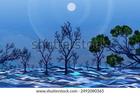 view of the mangrove forest by the sea in summer