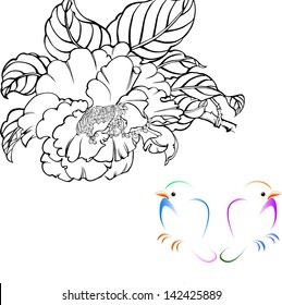 the view of the nature--flower, peony and bird