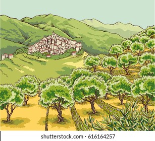 View of an olive grove in the hinterland of "Liguria" with village perched on the hill.