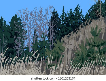 View on the hill with dry grass and coniferous forest outside of St. Petersburg. Vector natural illustration