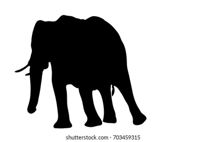 View on the silhouette of an african elephant - digitally hand drawn vector illustration