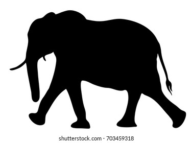 View on the silhouette of an african elephant - digitally hand drawn vector illustration