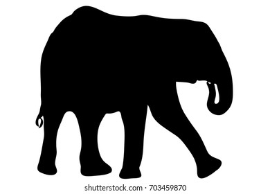 View on the silhouette of an african elephant - digitally hand drawn vector illustration