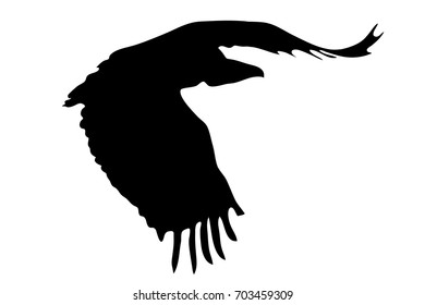 View on the silhouette of a african vulture - digitally hand drawn vector illustraion