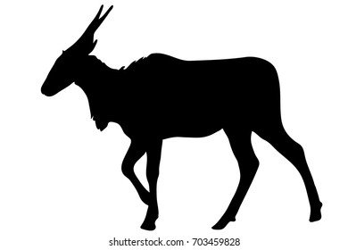 View on the silhouette of a common eland antelope - digitally hand drawn vector illustraion