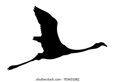 View on the silhouette of a flamingo - digitally hand drawn vector illustraion