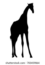View on the silhouette of a giraffe - digitally hand drawn vector illustraion