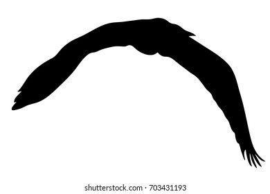 View on the silhouette of a gray heron - digitally hand drawn vector illustraion