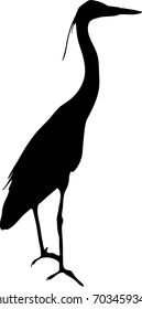 View on the silhouette of a gray heron - digitally hand drawn vector illustraion