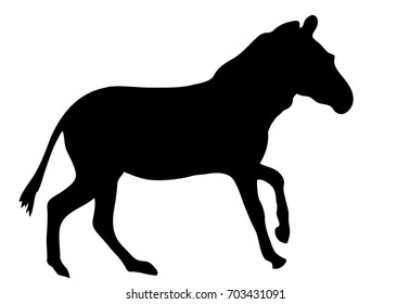 View on the silhouette of a moving zebra - digitally hand drawn vector illustraion