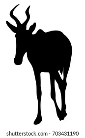 View on the silhouette of a red hartebeest - digitally hand drawn vector illustraion