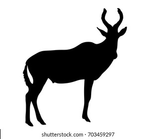 View on the silhouette of a red hartebeest - digitally hand drawn vector illustraion