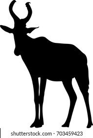 View on the silhouette of a red hartebeest - digitally hand drawn vector illustraion