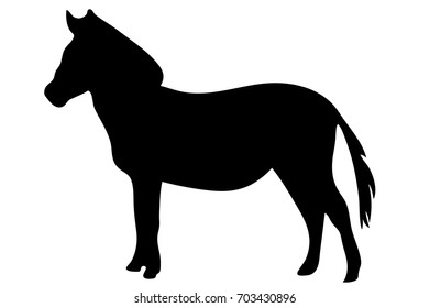 View on the silhouette of a Zebra - digitally hand drawn vector illustraion