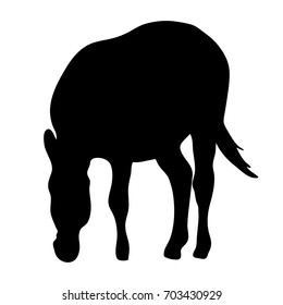 View on the silhouette of a zebra - digitally hand drawn vector illustraion