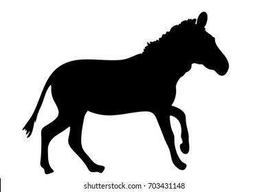 View on the silhouette of a Zebra - digitally hand drawn vector illustraion